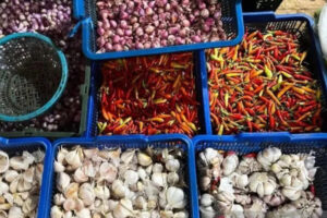 Harga Pangan