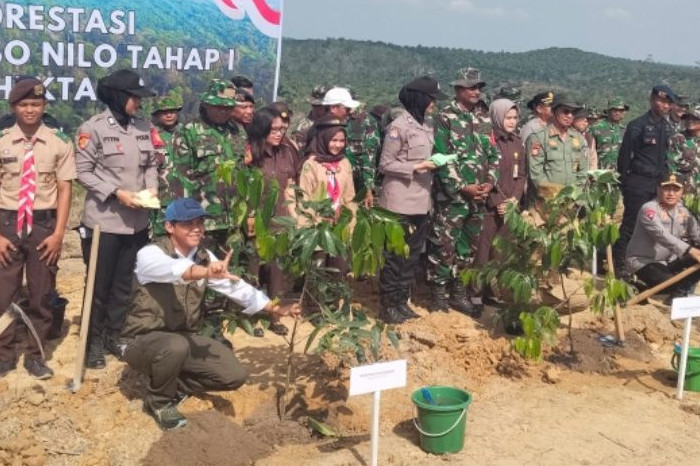 Reforestasi Tesso Nilo Tahap I Resmi Dimulai, 2.574 Hektare Dipulihkan