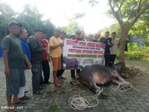 Tradisi Potong Kebo Andil Boponter, Patungan Kerbau Sambut Lebaran Idulfitri
